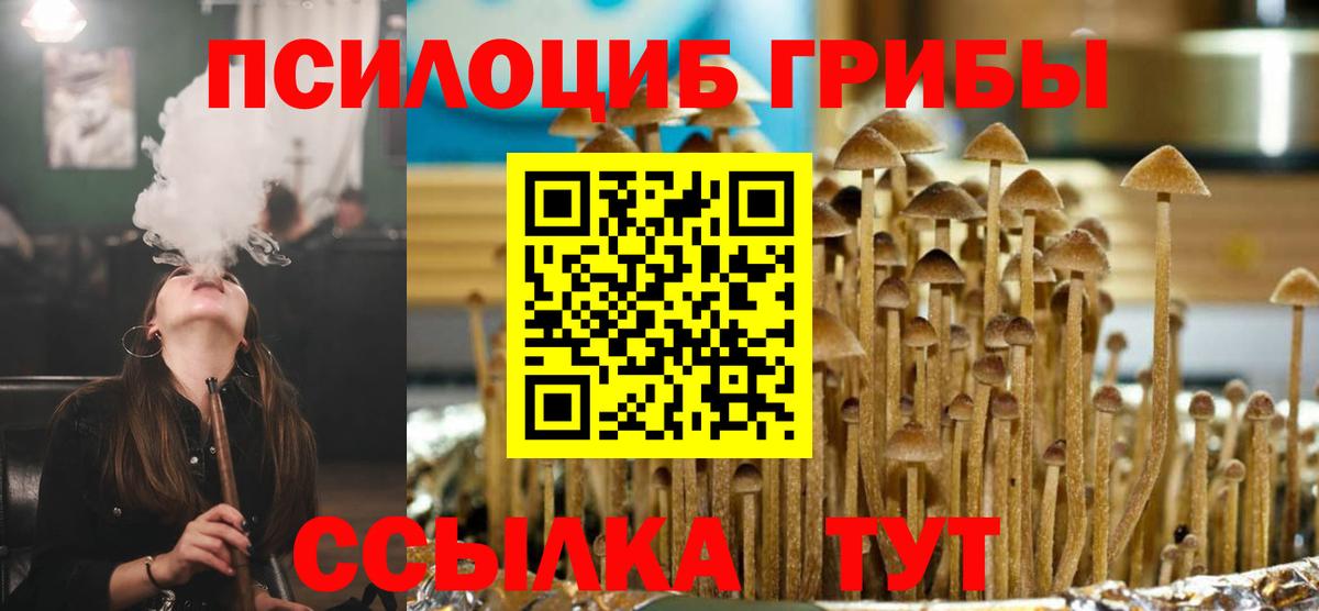 Фролово  Галлюциногенные грибы Cubensis  Вход с VPN 